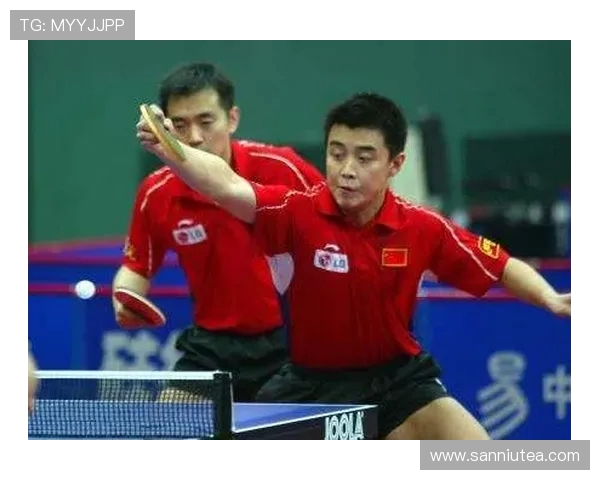 乒乓球传奇吴秀英的奋斗历程与人生感悟对话录