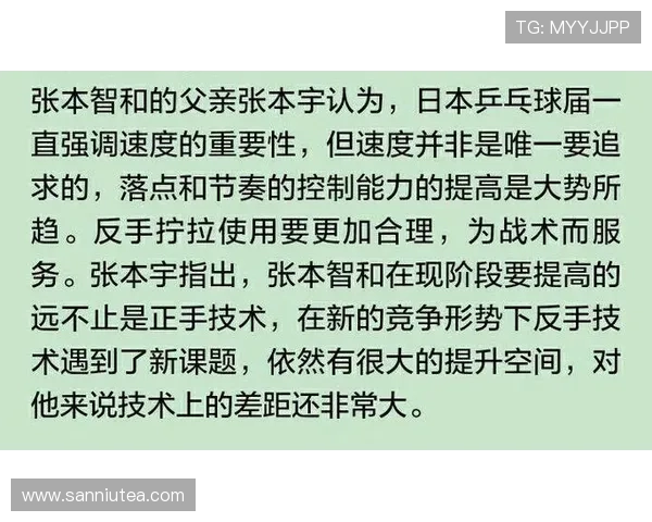 北京滑板队进攻革新揭秘：技术与战术的完美结合与未来展望