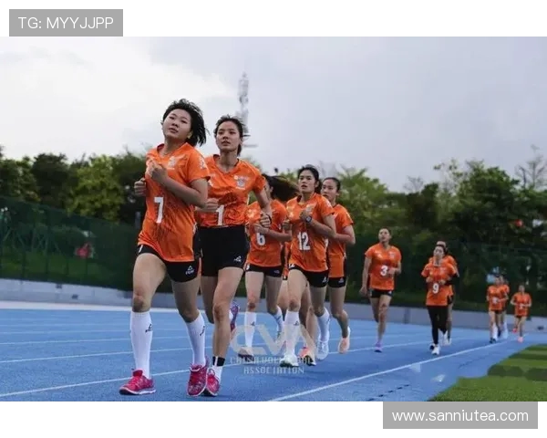 杭州排球队耐力对比深度解析与训练策略探讨