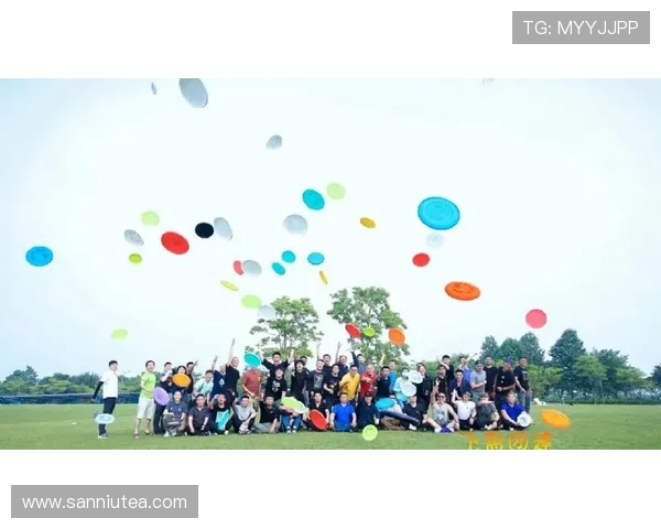 飞盘战术：深圳飞盘队的阵地战体系