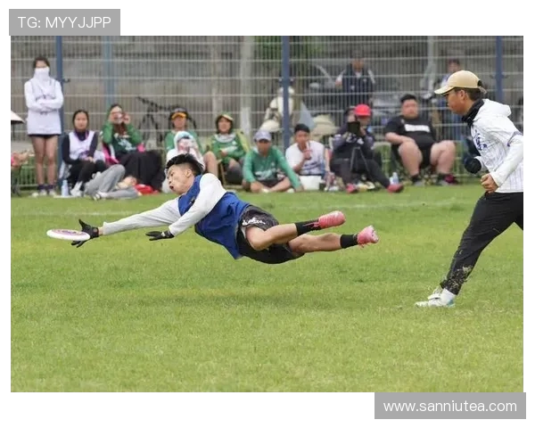 飞盘配合排行榜：北京飞盘队位居第8名